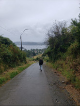 Nercon, Chiloé